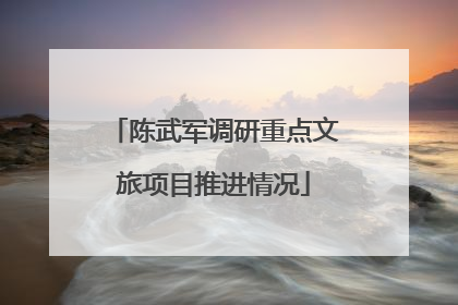 陈武军调研重点文旅项目推进情况