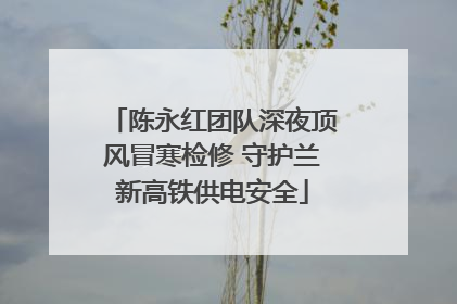 陈永红团队深夜顶风冒寒检修 守护兰新高铁供电安全