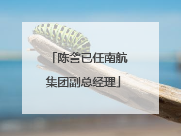陈詟已任南航集团副总经理
