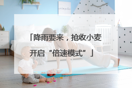 降雨要来，抢收小麦开启“倍速模式”