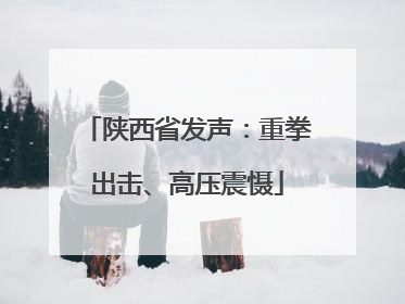 陕西省发声：重拳出击、高压震慑