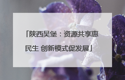 陕西吴堡：资源共享惠民生 创新模式促发展