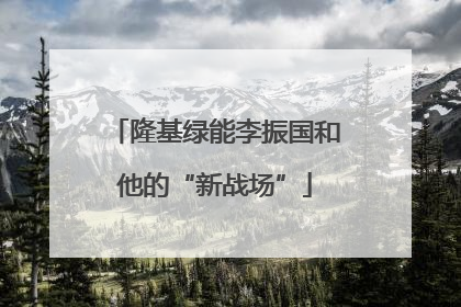 隆基绿能李振国和他的“新战场”