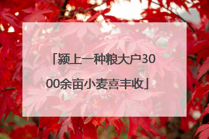颍上一种粮大户3000余亩小麦喜丰收