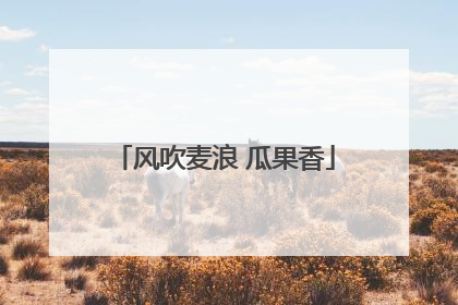 风吹麦浪 瓜果香