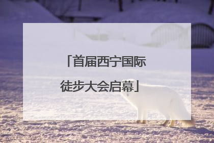 首届西宁国际徒步大会启幕