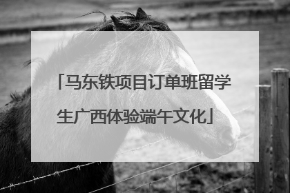 马东铁项目订单班留学生广西体验端午文化
