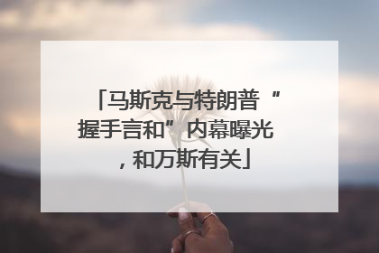 马斯克与特朗普“握手言和”内幕曝光，和万斯有关