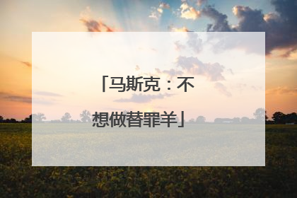 马斯克：不想做替罪羊