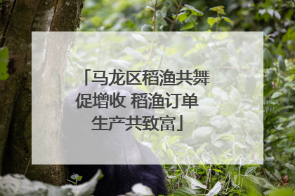马龙区稻渔共舞促增收 稻渔订单生产共致富