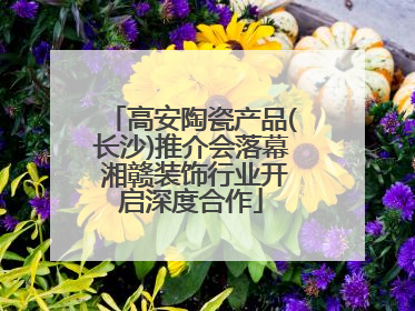 高安陶瓷产品(长沙)推介会落幕 湘赣装饰行业开启深度合作