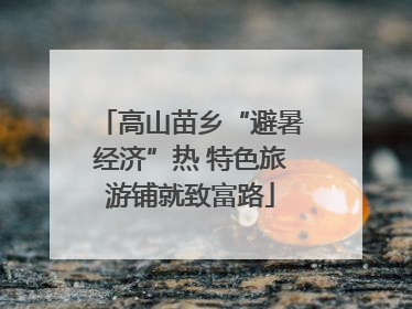 高山苗乡“避暑经济”热 特色旅游铺就致富路