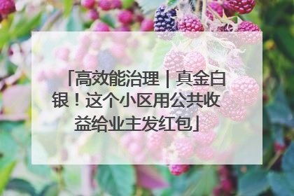 高效能治理｜真金白银！这个小区用公共收益给业主发红包