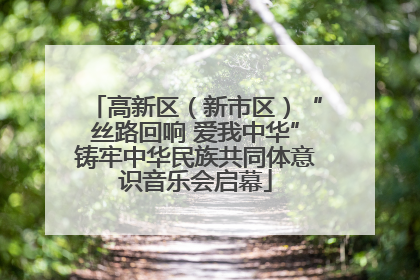 高新区（新市区）“丝路回响 爱我中华”铸牢中华民族共同体意识音乐会启幕