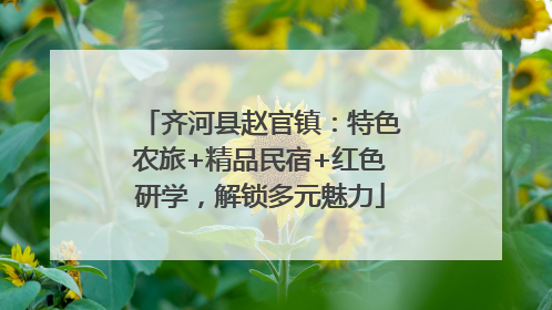齐河县赵官镇：特色农旅+精品民宿+红色研学，解锁多元魅力
