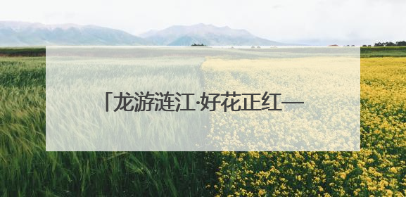 龙游涟江·好花正红—惠水县中医医院举办端午节中医药文化宣传活动