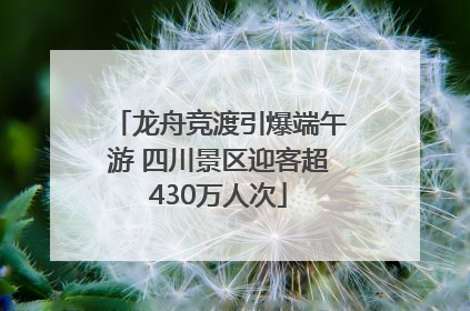 龙舟竞渡引爆端午游 四川景区迎客超430万人次