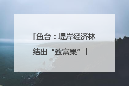 鱼台：堤岸经济林结出“致富果”