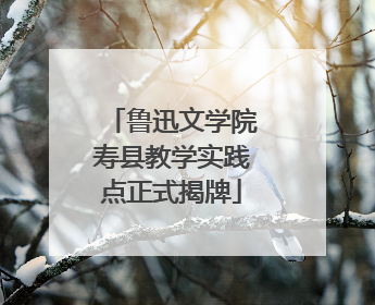 鲁迅文学院寿县教学实践点正式揭牌