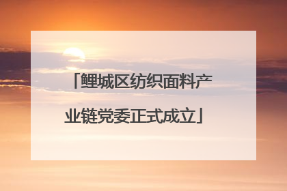 鲤城区纺织面料产业链党委正式成立