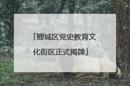 鲤城区党史教育文化街区正式揭牌