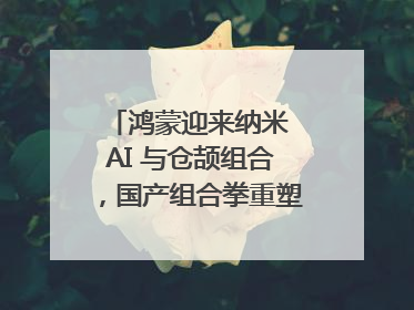 鸿蒙迎来纳米 AI 与仓颉组合，国产组合拳重塑AI搜索体验｜新经济观察
