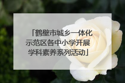 鹤壁市城乡一体化示范区各中小学开展学科素养系列活动
