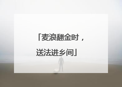麦浪翻金时，送法进乡间