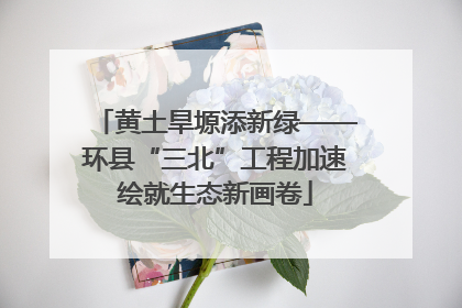 黄土旱塬添新绿——环县“三北”工程加速绘就生态新画卷