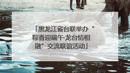 黑龙江省台联举办“粽香迎端午·龙台情相融”交流联谊活动