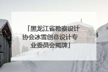 黑龙江省勘察设计协会冰雪创意设计专业委员会揭牌