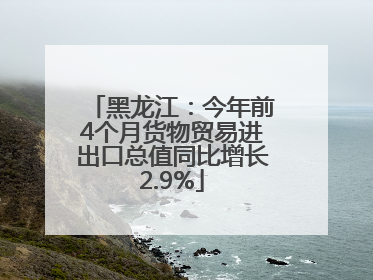 黑龙江：今年前4个月货物贸易进出口总值同比增长2.9%