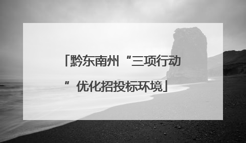 黔东南州“三项行动”优化招投标环境