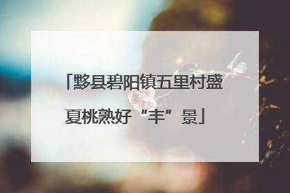 黟县碧阳镇五里村盛夏桃熟好“丰”景
