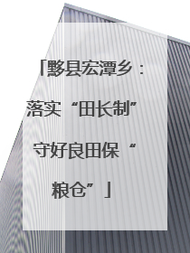 黟县宏潭乡：落实“田长制” 守好良田保“粮仓”