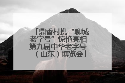 鼎香村携“聊城老字号”惊艳亮相第九届中华老字号（山东）博览会