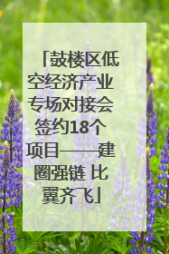 鼓楼区低空经济产业专场对接会签约18个项目——建圈强链 比翼齐飞
