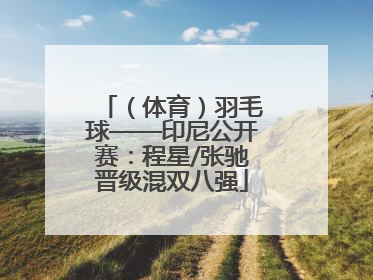 （体育）羽毛球——印尼公开赛：程星/张驰晋级混双八强