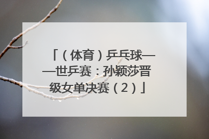 （体育）乒乓球——世乒赛：孙颖莎晋级女单决赛（2）