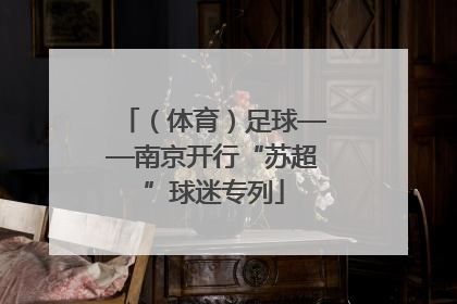 （体育）足球——南京开行“苏超”球迷专列