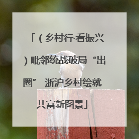 （乡村行·看振兴）毗邻统战破局“出圈” 浙沪乡村绘就共富新图景