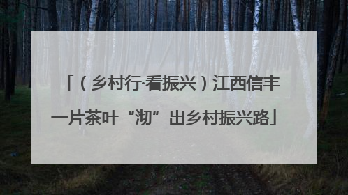 （乡村行·看振兴）江西信丰一片茶叶“沏”出乡村振兴路