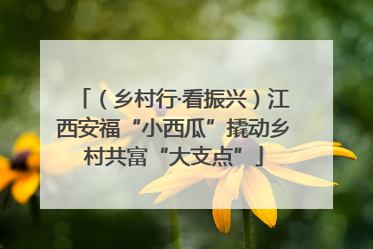 （乡村行·看振兴）江西安福“小西瓜”撬动乡村共富“大支点”