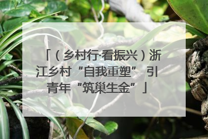 （乡村行·看振兴）浙江乡村“自我重塑” 引青年“筑巢生金”