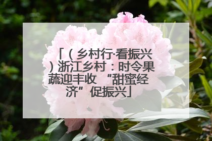 （乡村行·看振兴）浙江乡村：时令果蔬迎丰收 “甜蜜经济”促振兴