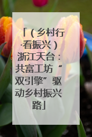 （乡村行·看振兴）浙江天台：共富工坊“双引擎”驱动乡村振兴路