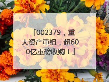 002379，重大资产重组，超600亿重磅收购！