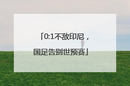 0:1不敌印尼，国足告别世预赛