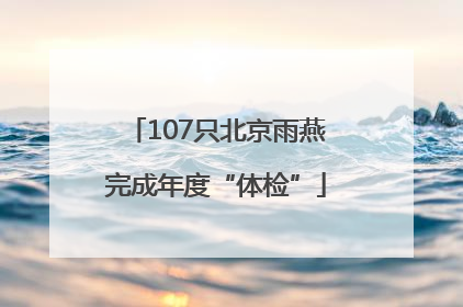 107只北京雨燕完成年度“体检”