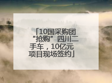 10国采购团“抢购”四川二手车，10亿元项目现场签约